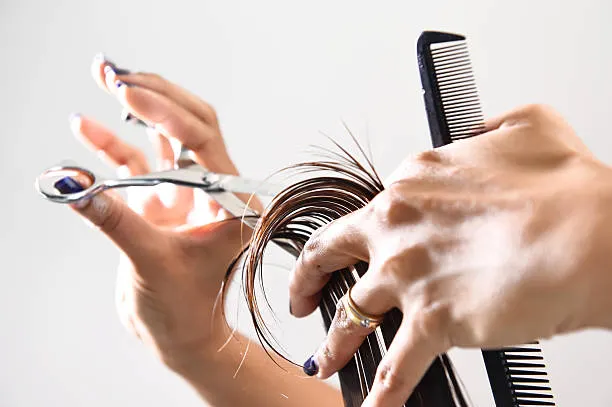 Hair Artistry